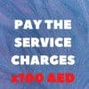Service Charges 100