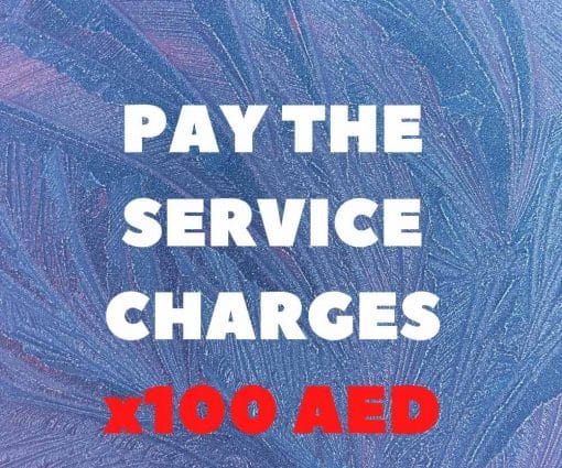 Service Charges 100