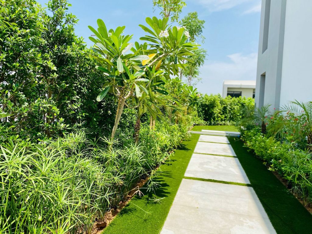 Soft Landscaping Designing Company In UAE